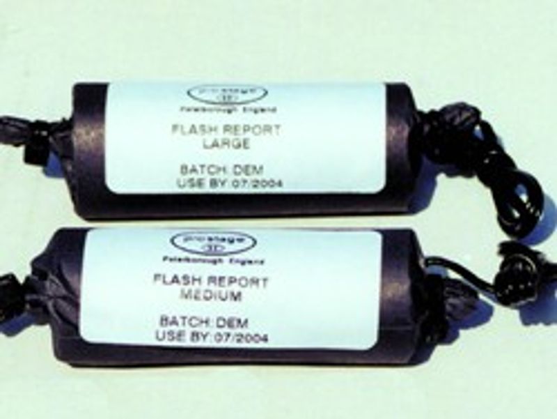 Flash Report No.1